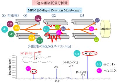 OxidizedPL-MRM.png