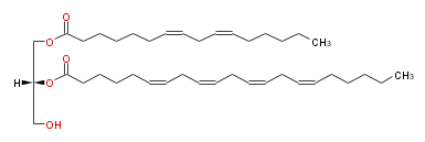 File:DG 16:2-21:4-0:0 st.png